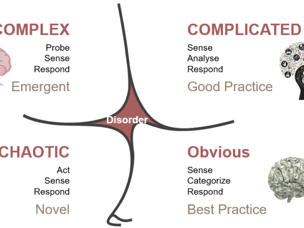 Leadership Styles within&nbsp;Complexity