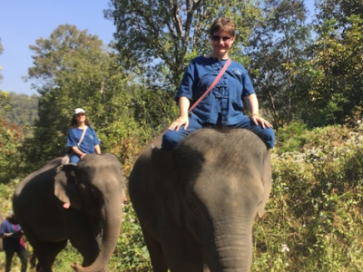 Consuming Endangered Pachyderms: A Product Perspective on Tech&nbsp;Debt